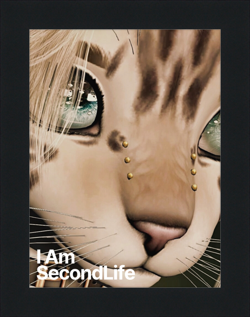 I Am Second Life - Kito Furry