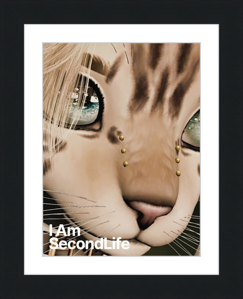 I Am Second Life - Kito Furry