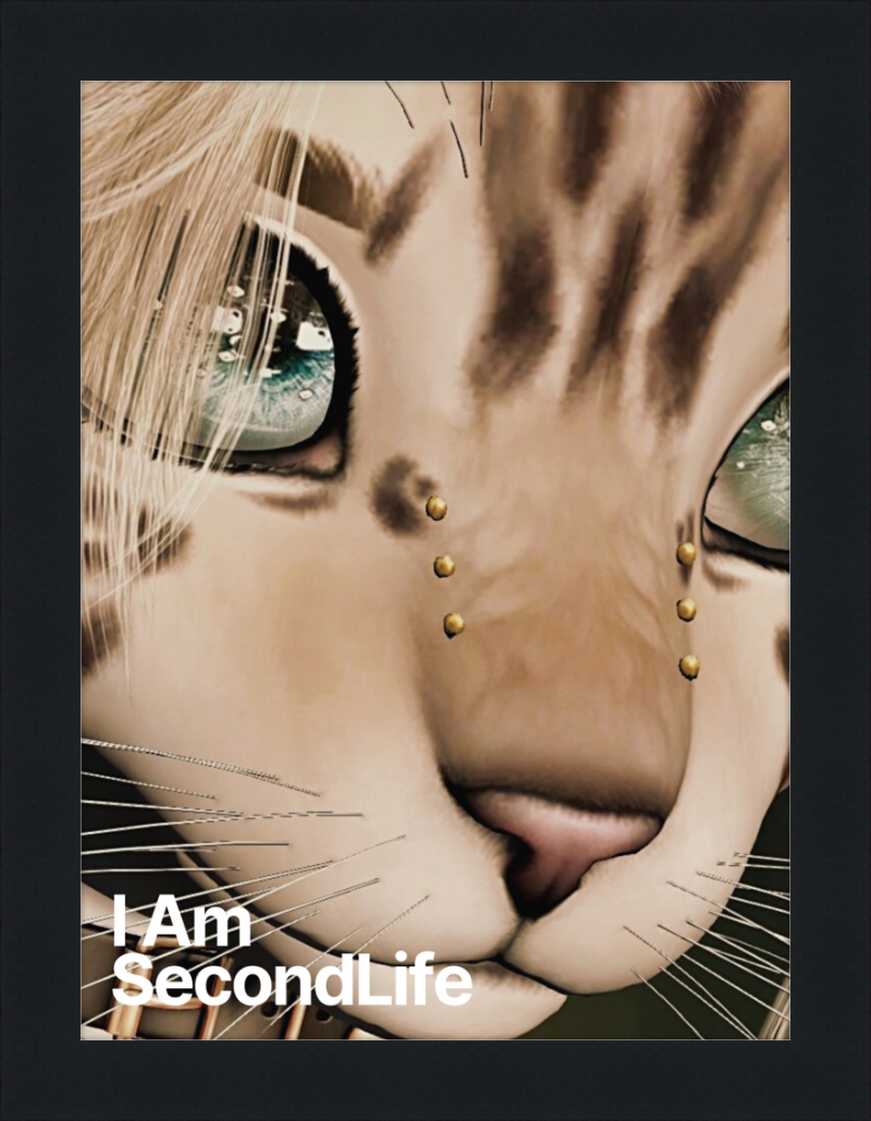 I Am Second Life - Kito Furry