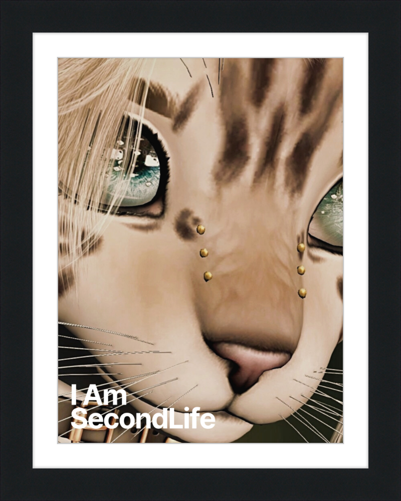 I Am Second Life - Kito Furry