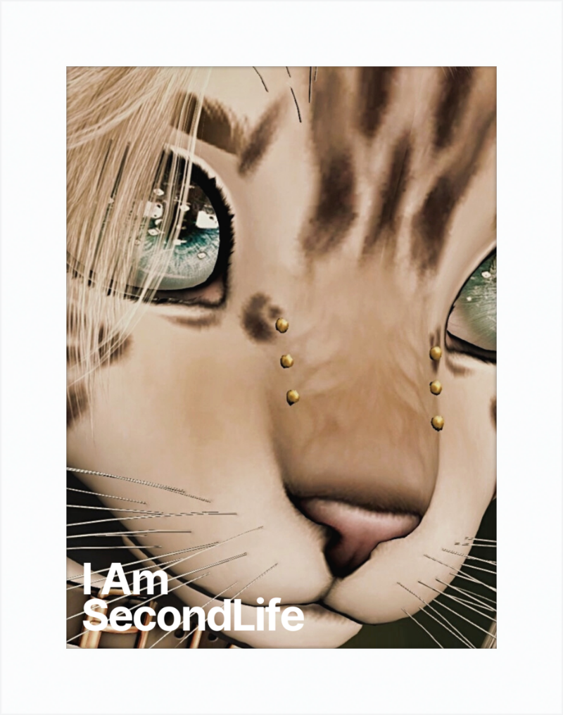 I Am Second Life - Kito Furry