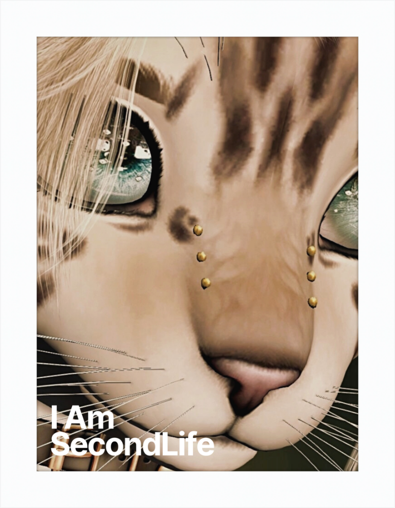 I Am Second Life - Kito Furry