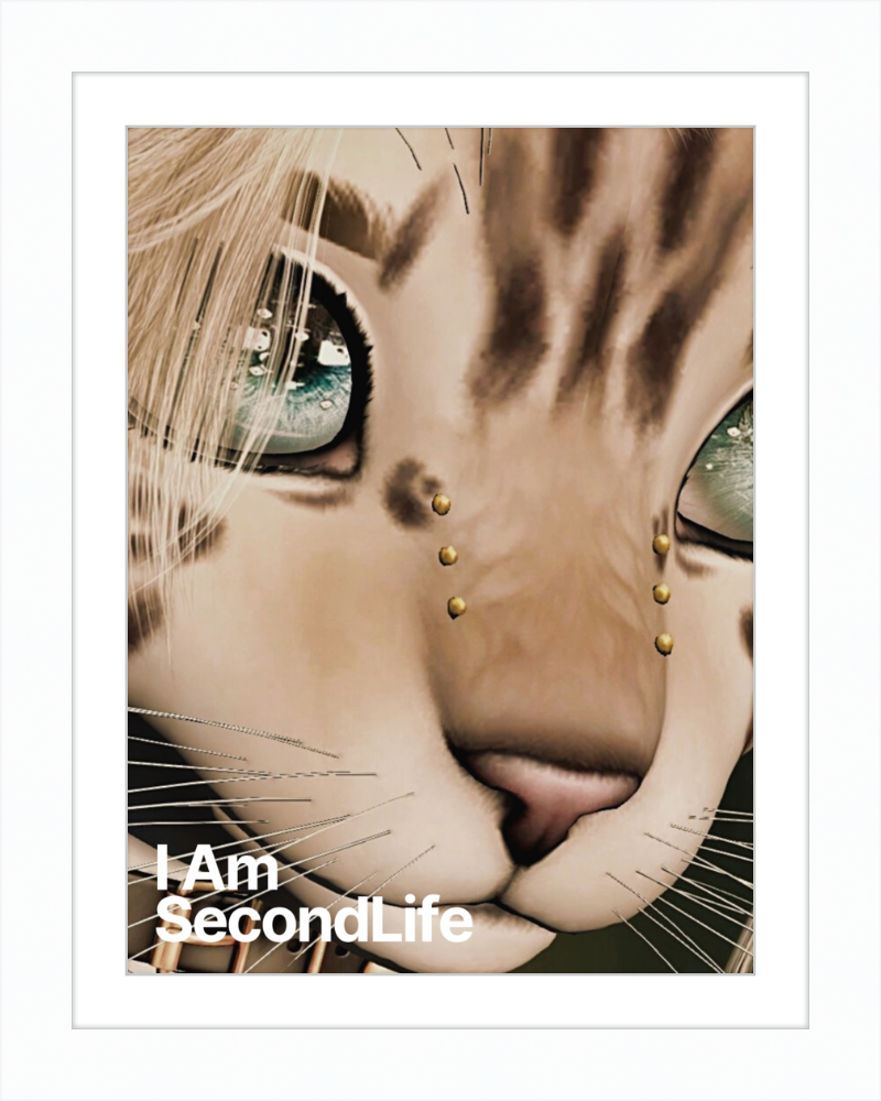 I Am Second Life - Kito Furry