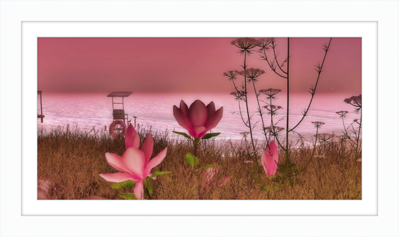 Shore In Bloom