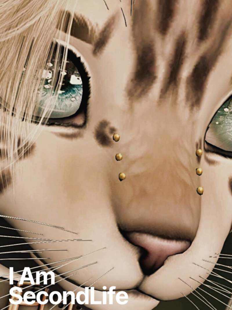 I Am Second Life - Kito Furry