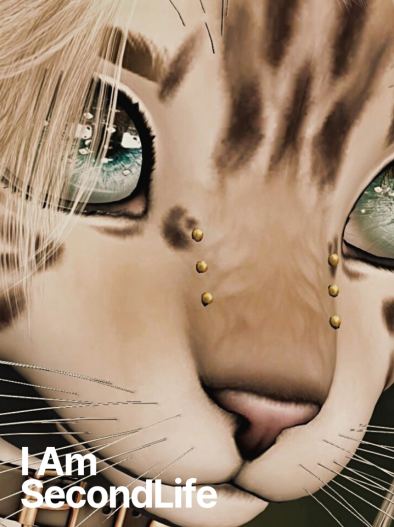 I Am Second Life - Kito Furry