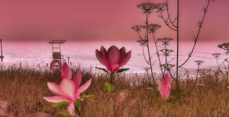 Shore In Bloom - Framed