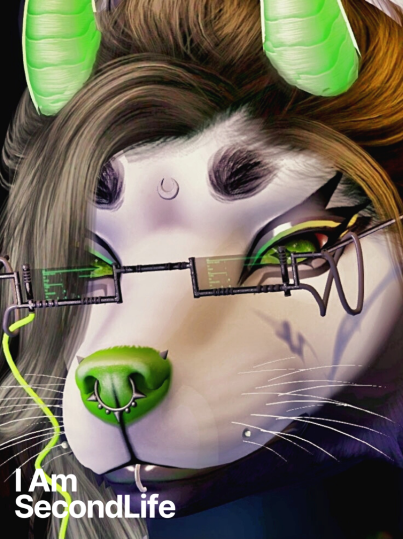 I Am Second Life - Graves