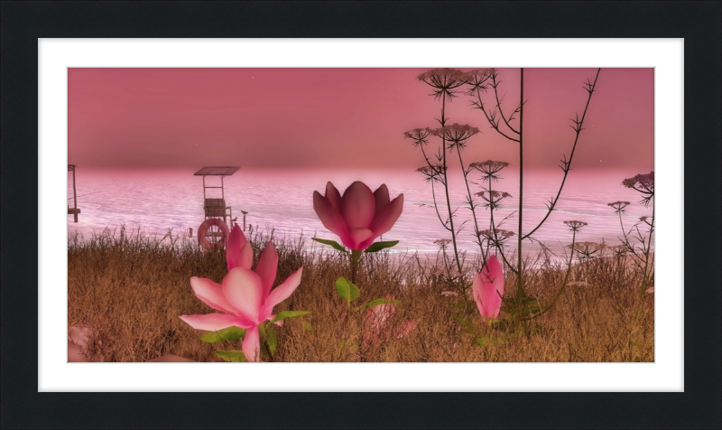 Shore In Bloom