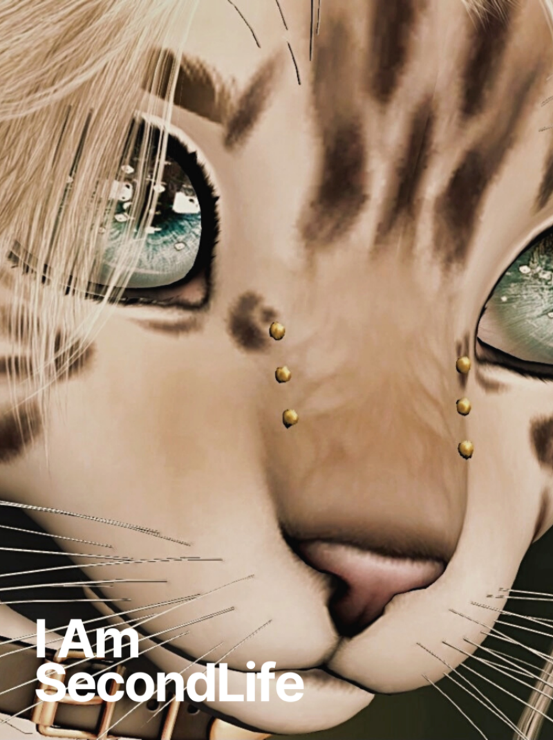 I Am Second Life - Kito Furry