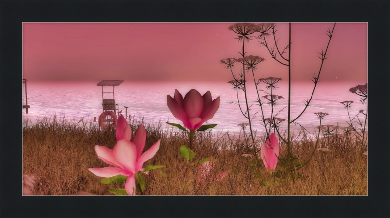 Shore In Bloom