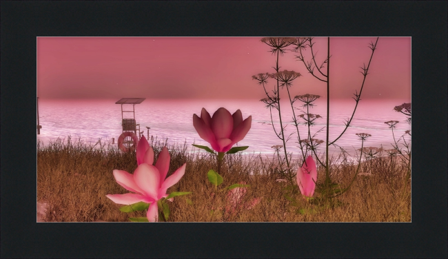 Shore In Bloom - Framed