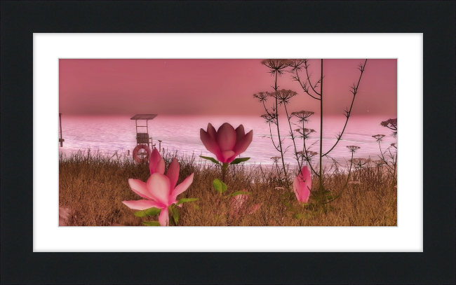 Shore In Bloom - Framed