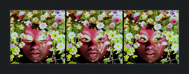 Mother of Nature #4 - Framed