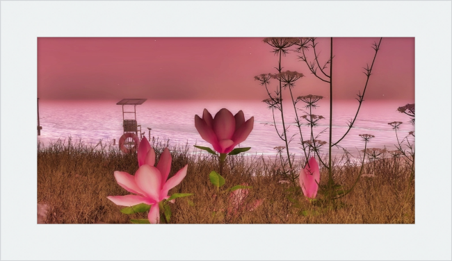 Shore In Bloom - Framed