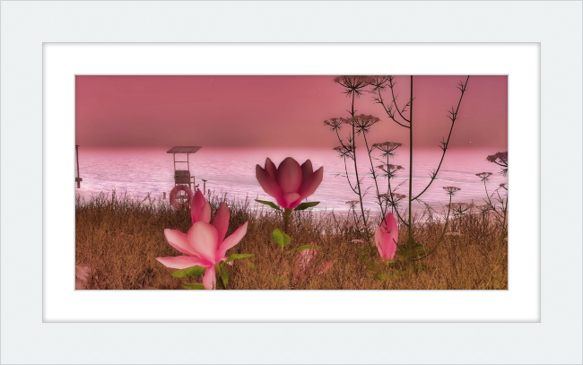 Shore In Bloom - Framed