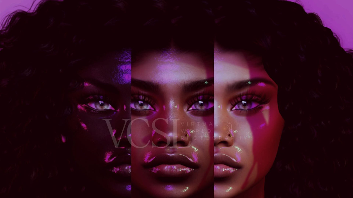 The Artist Collection