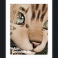 I Am Second Life - Kito Furry
