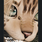 I Am Second Life - Kito Furry