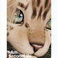 I Am Second Life - Kito Furry