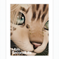 I Am Second Life - Kito Furry