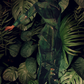 One With Nature #3