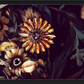 Amalgamate #9