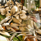 Flowers & Citrus #2