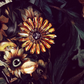 Amalgamate #9