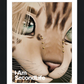 I Am Second Life - Kito Furry