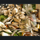 Flowers & Citrus #2