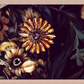 Amalgamate #9