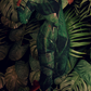 One With Nature #2