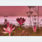 Shore In Bloom