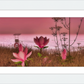 Shore In Bloom